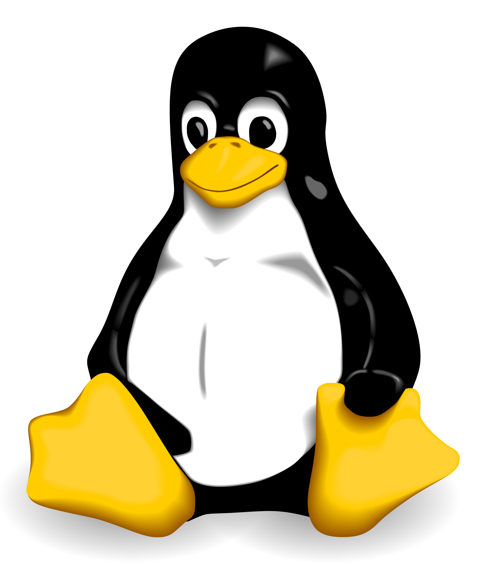 Детеныш ягуара. I jpg. Тигр обои. Снежный барс леопард snow leopard ирбис. Любой для попугай.